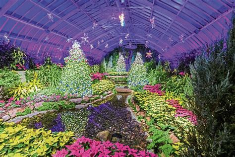 Phipps conservatory holiday lights 2022